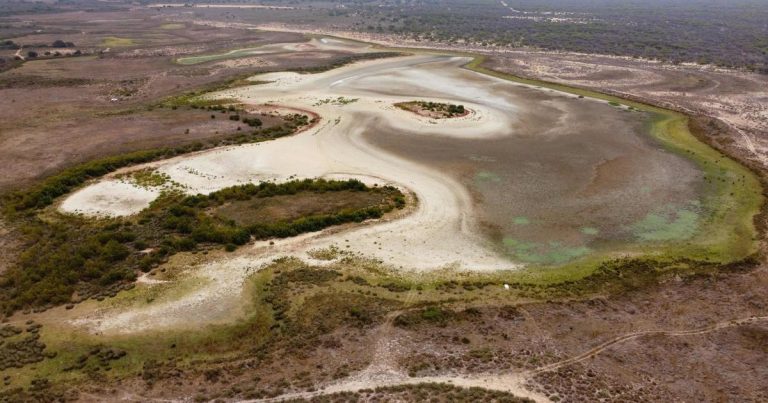 España: la única laguna “permanente” del Parque de Doñana se seca por segundo verano consecutivo