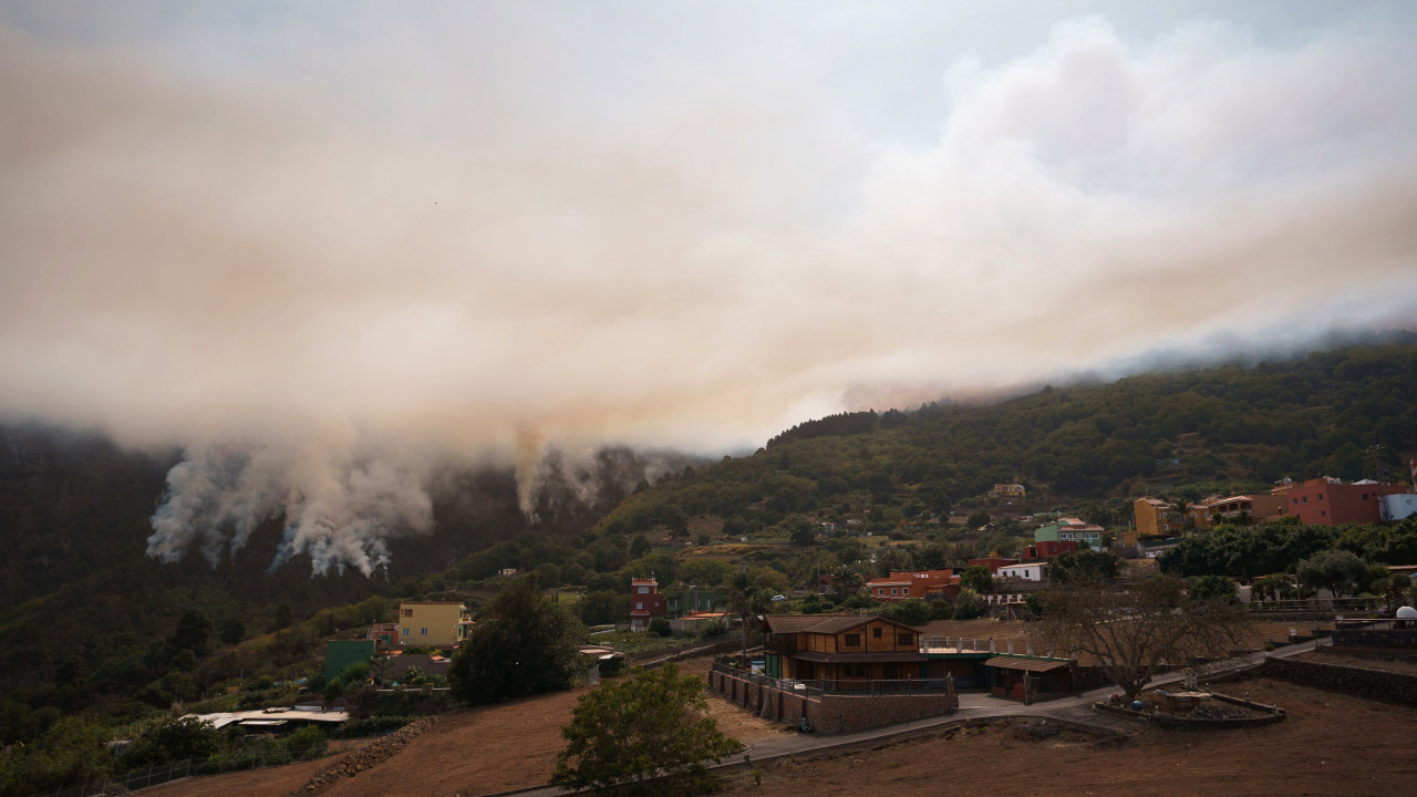Incendio forestal en Tenerife afecta a 11.600 hectáreas