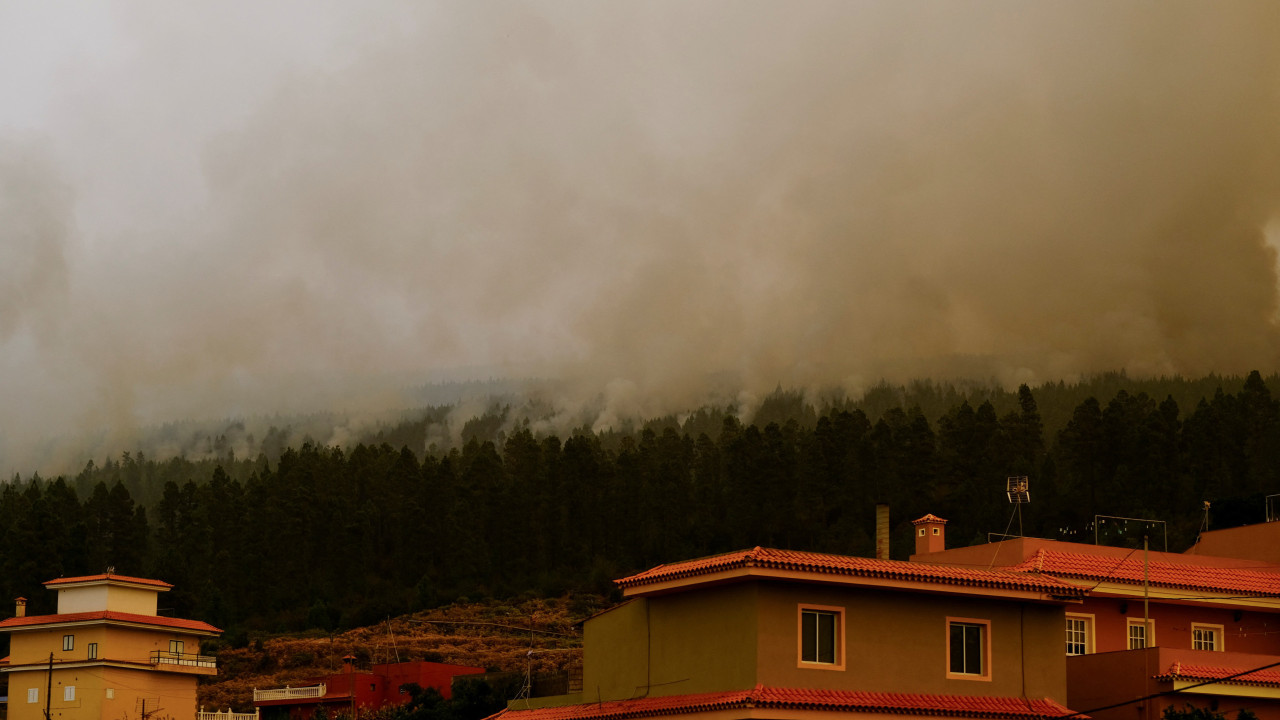 Tenerife.  Atrapados robando casa desplazada por incendio