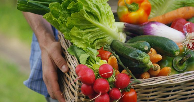 Calabacines, fresas, pimientos… ¿Realmente las frutas y verduras españolas contienen más pesticidas?