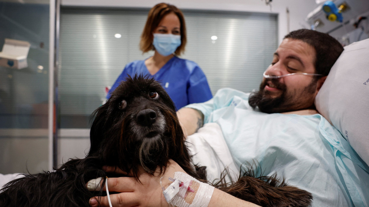 "Es óptimo".  Los perros de terapia elevan la moral de los pacientes de la UCI en España