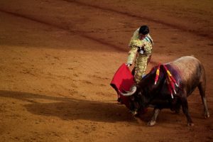 La plaza de toros de Sevilla ofrecerá entradas gratuitas a los niños para iniciarles en el mundo taurino