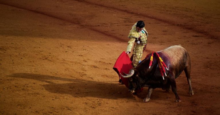 La plaza de toros de Sevilla ofrecerá entradas gratuitas a los niños para iniciarles en el mundo taurino