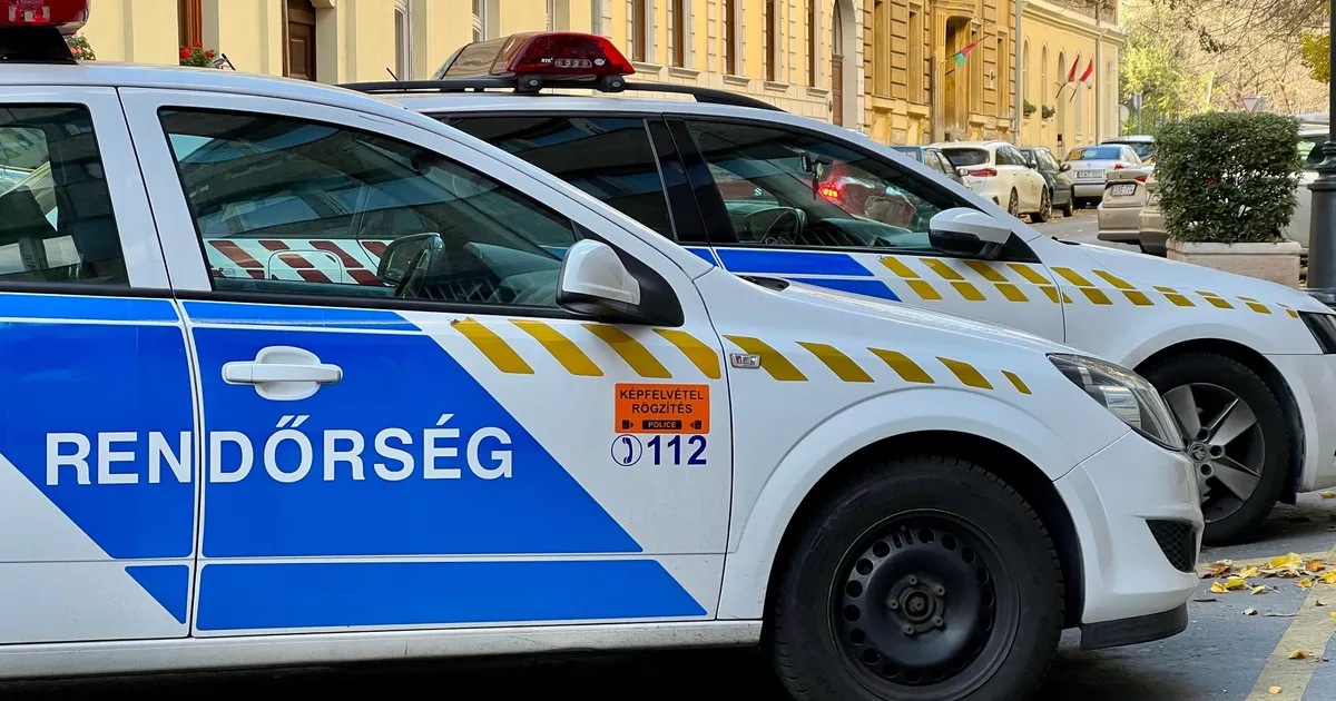Hungría: ocho extranjeros muertos en una carretera tras dos accidentes