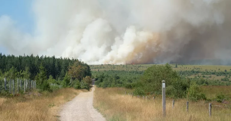 Bélgica: 1.650 hectáreas quemadas en Bélgica, primeras evacuaciones