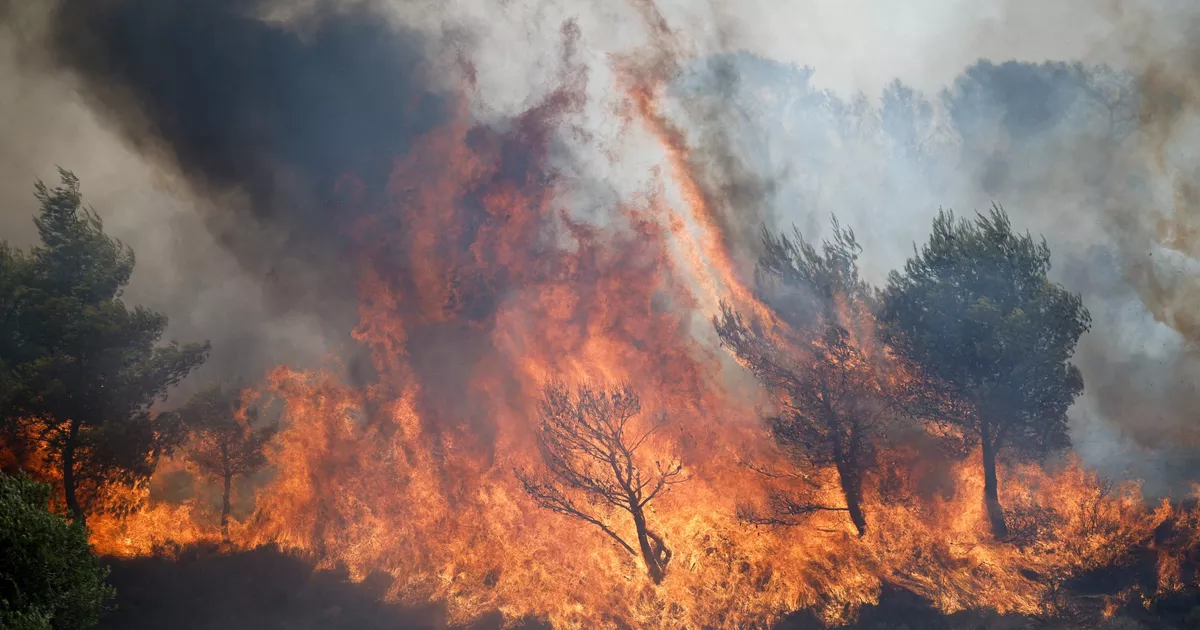 Grecia: tres personas, entre ellas un alcalde, en prisión preventiva tras el incendio al oeste de Atenas
