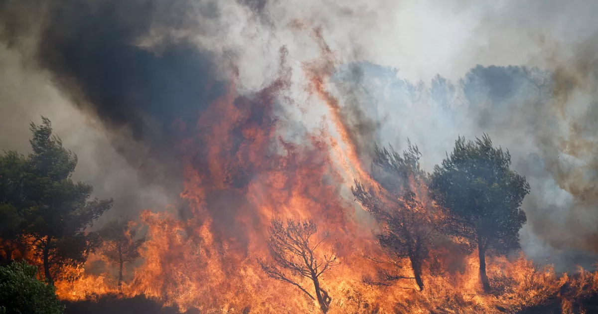 Incendio en Atenas: un alcalde en prisión preventiva