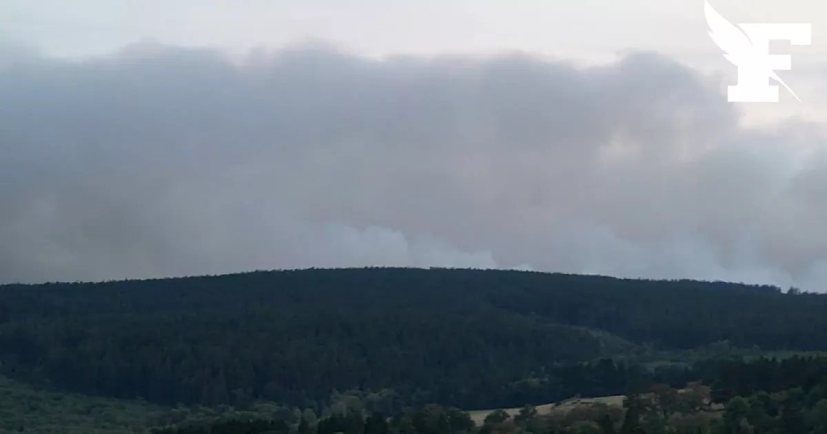 Incendio histórico en Bélgica: casi 3.000 hectáreas ya arrasadas, las llamas amenazan con llegar a Alemania