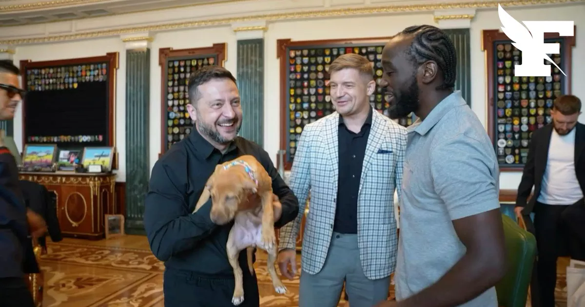 “Un regalo cálido y especial”: Volodymyr Zelensky recibe un cachorro del ex campeón de boxeo estadounidense Terence Crawford
