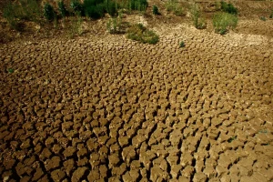 Clima: en Sudán, Darfur sufre una sequía sin precedentes desde hace cuarenta años
