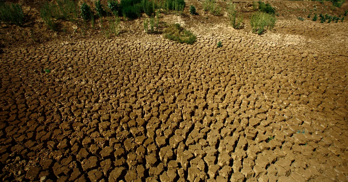 Clima: en Sudán, Darfur sufre una sequía sin precedentes desde hace cuarenta años