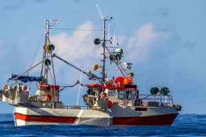 “Es un milagro”: tras tres días aferrado al casco de un barco, un joven de 15 años fue encontrado vivo en las gélidas aguas de Alaska