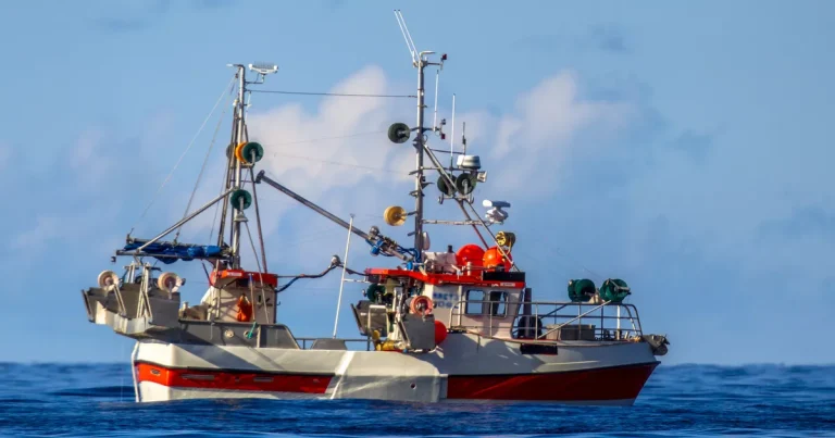 “Es un milagro”: tras tres días aferrado al casco de un barco, un joven de 15 años fue encontrado vivo en las gélidas aguas de Alaska