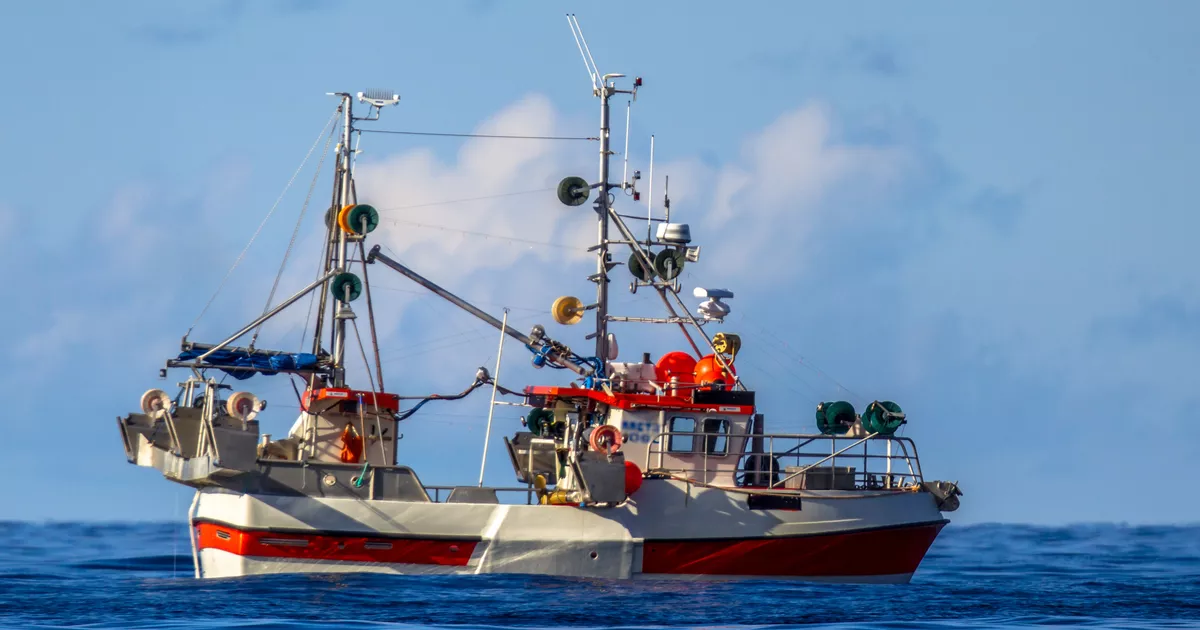 “Es un milagro”: tras tres días aferrado al casco de un barco, un joven de 15 años fue encontrado vivo en las gélidas aguas de Alaska