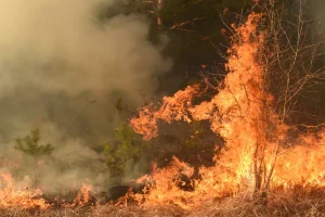 España: tres heridos en un incendio forestal en el interior de la Costa del Sol