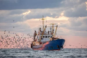 Hundimiento de un arrastrero francés en el Canal de la Mancha: los restos del naufragio se encuentran a “72 m de profundidad”