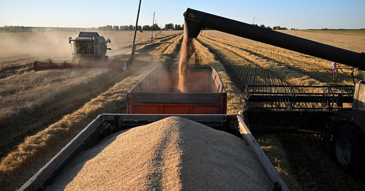 Aumento de los precios de la energía, los fertilizantes, los cereales, el efecto El Niño… Un cóctel explosivo para la inseguridad alimentaria en el mundo