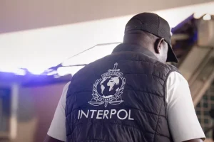 Delitos infantiles en línea: Interpol anuncia la detención de 95 personas en Europa y América Latina
