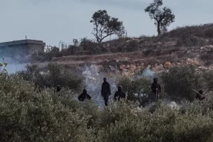 “Expulsar a los palestinos de sus tierras”: en Cisjordania, los colonos siembran el terror durante la cosecha de aceitunas